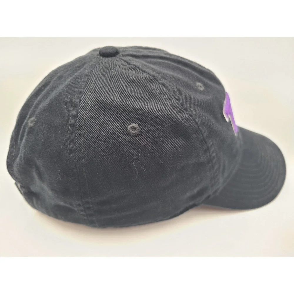 Nike S1ZE Heritage86 TKA Strapback Adjustable Hat Cap Dad Men Women Black Purple